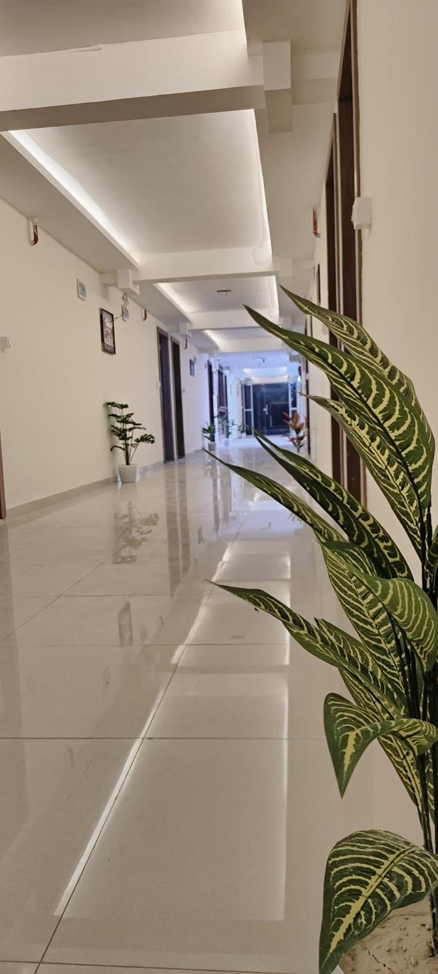 Hotel Royal Night Daman Dış mekan fotoğraf